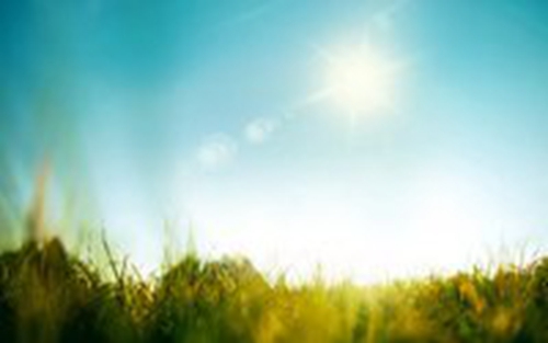 廣場舞恰恰舞西班牙（酒醉的雨蝶廣場舞視頻），酒夢廣場舞恰恰24步教程